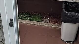 jerking small cock in public toilet