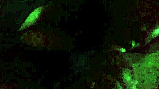 making him feel so good with my bbw love!