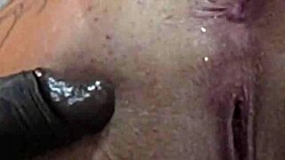 hey sugar daddy, watch your young babe with that black bull?