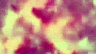 seen this perfect brazilian casting couch creampie yet?