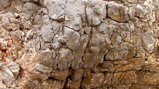 Skinny couple quick outdoor anal rough orgasm rush