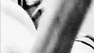 Bolas Bisexual Versatile Cock Tease Switch Hitter