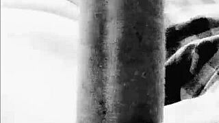 Bolas Bisexual Versatile Cock Tease Switch Hitter