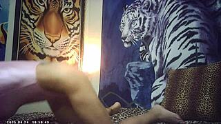 skinny brunette glasses babe pounds italian machine backstage