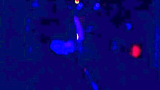 Jkt strip club ebony anal party rips clothes wild