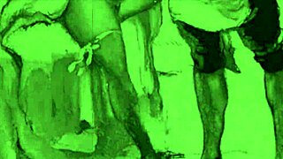 vintage hairy beavers exposed in retro erotic tease