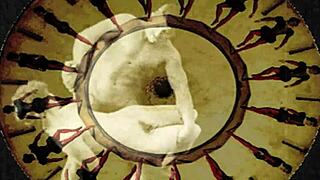 vintage hairy beavers exposed in retro erotic tease