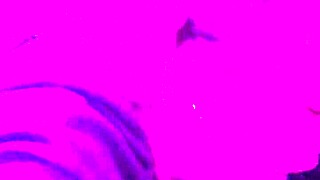 Wife's Naughty Deepthroat Tease Ends in Gagging Orgasm