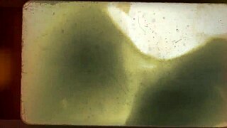 soft white teen worships ebony monster cock car fuck