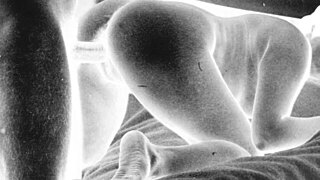 vintage erotic art showcases hairy retro temptations