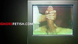 Airbnb Hosts Freeuse Italian Guest Hazel Moore Valentina Nappi