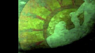 vintage hairy beavers exposed in retro erotic tease