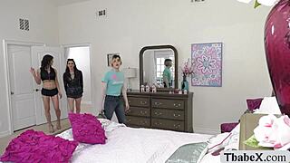 Ts ella hollywood begs for bareback while deepthroating shemale cock