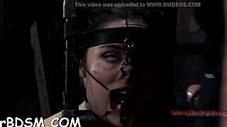 Bound Slut Sucks Cock in Hardcore Thrall