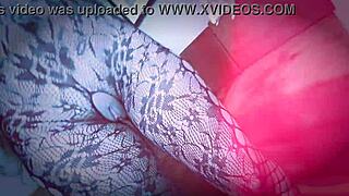 SheerForCreator: Sell content fast with top payouts now