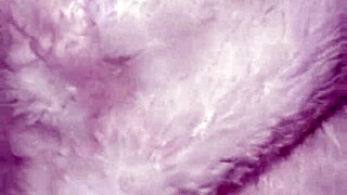 big cock pounds wet pussy hard in kitchen after work