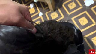 sneaking into roommate's room for secret oral while her husband sleeps peruvian style