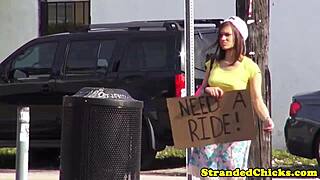 i picked tattooed hitchhiking brunette fucked car public cumshot