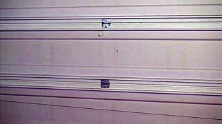 blonde parolee ashley rose wrestles into submission