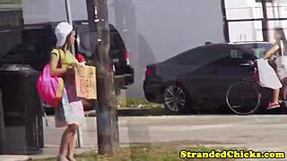 i picked tattooed hitchhiking brunette fucked car public cumshot