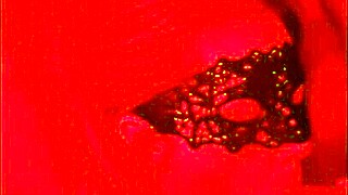 hey amateur housewife, shake that big ass while i lick your submissive lingerie-clad holes!