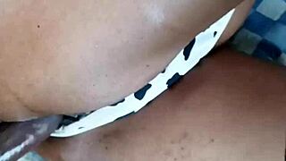 wake up hard bbc fucks me silly!