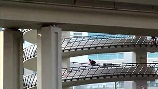 alexis crystal facial cum from public threesome orgy bang