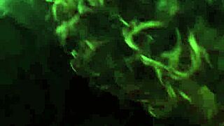 Granny Gummer Sucks With Passionate Mature Desire