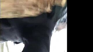 masked emo goth bent over for public interracial creampie doggystyle