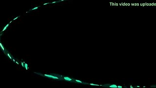 kerozaiin hmv curves 2