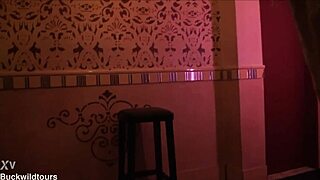 exploring pascha club in koln germany casually