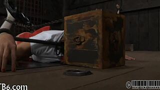 four angels crammed in tiny cage 😈🔒👼👼👼👼