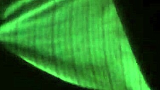 mmm yeah, suck that cock while i finger your chubby mature pussy!