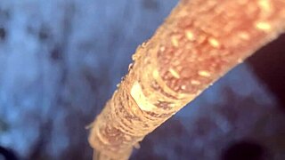 Intense hardcore witch pussy pounding in woods creampie