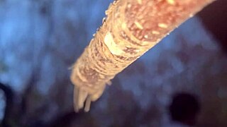 Intense hardcore witch pussy pounding in woods creampie