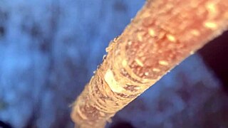 Intense hardcore witch pussy pounding in woods creampie