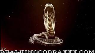 thick thursdays: ladyviperqos juicy ass on all fours for king cobra poundtown doggy 🐍🍑💦