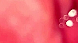 amateur virgin's pink pussy craves cum 51 days post-deflowering!