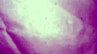 Pregnant woman flashes sixth month belly and bush publicly