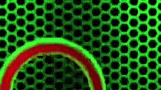 Irish blonde Tasha Reign fingers her big ass pussy to orgasm