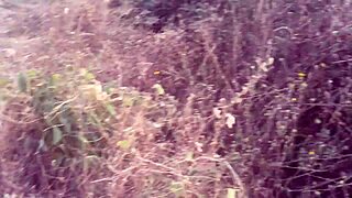 hey village babe, wanna feel these perfect ebony boobs bounce?