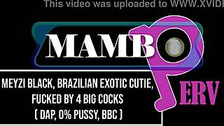 Meyzi's Exotic Brazilian Body Quivers From Four BBCs DAP Thrill!