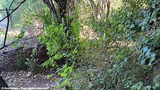 Wanna join my wild suckfest in ruins with 10 strangers covering me in cum?