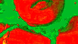 Exotic brunette's horny face during wet pussy licking 🔥