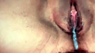 Bathroom fuck with horny stepson now.  