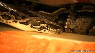 Brunette Asian Milf Dances in Erotic High Definition Solo