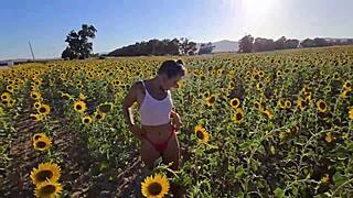 brazilian damiana's sunflower field challenge europe episode six