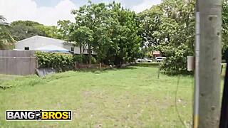 bangbros bangbus asteria jade flashes big tits rides mike oxbig cock hard