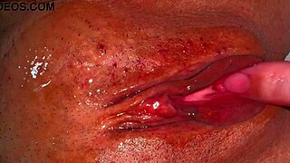 Amateur japanese milf's shaved pussy closeup 356 days post-virginity
