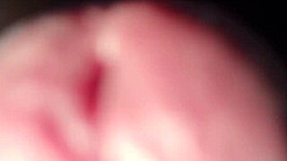 Grosse bite en gros plan avec gémissements et sborrata finale